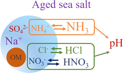 英文文獻(xiàn)（Picarro G2108）Acidity of Size-Resolved Sea-Salt Aerosol in a Coastal Urban Area: Comparison of Existing and New Approaches